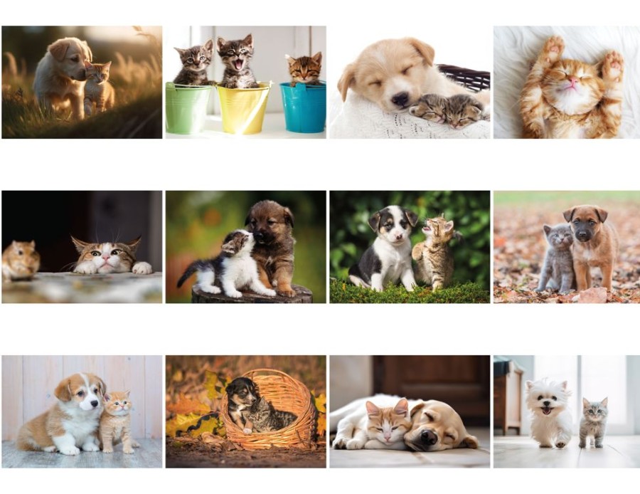 Office CPS/Keystone | Sbc105 - Puppies And Kittens Spiral Bound Wall Calendar